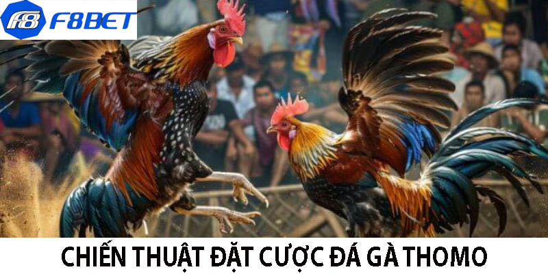 Chiến thuật cực hay